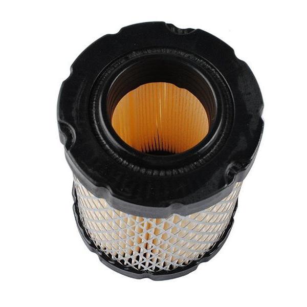 Air Filter Briggs & Stratton 796032 591583 591383 5429K - Green Dade ...